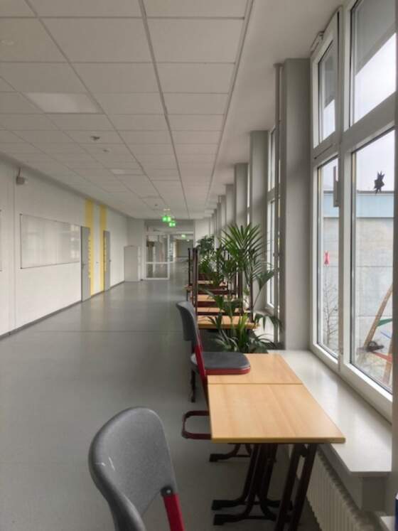 Gymnasium in der wueste sonstige 3